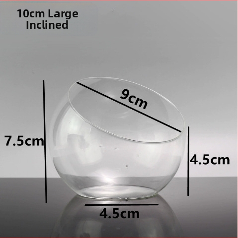 Mikro ainavas stikla pudele ar noliektu muti – DIY sūnas un sukulentu ekosistēma, caurspīdīga vāze uz galda, materiāls: borosilikāta stikls