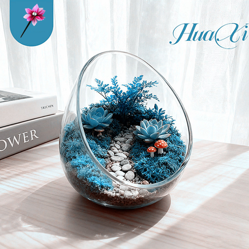 Mikro ainavas stikla pudele ar noliektu muti – DIY sūnas un sukulentu ekosistēma, caurspīdīga vāze uz galda, materiāls: borosilikāta stikls