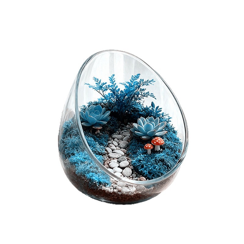 Mikro ainavas stikla pudele ar noliektu muti – DIY sūnas un sukulentu ekosistēma, caurspīdīga vāze uz galda, materiāls: borosilikāta stikls