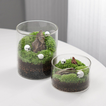 Sticlă terrariu cu mușchi - DIY mini decor pentru birou/acasă, sticlă borosilikat de înaltă calitate, model TB674839126224, cadou de afaceri