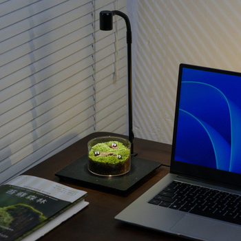 Sticlă terrariu cu mușchi - DIY mini decor pentru birou/acasă, sticlă borosilikat de înaltă calitate, model TB674839126224, cadou de afaceri