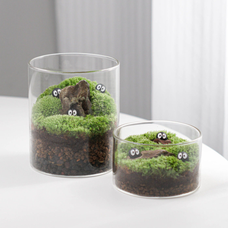Sticlă terrariu cu mușchi - DIY mini decor pentru birou/acasă, sticlă borosilikat de înaltă calitate, model TB674839126224, cadou de afaceri