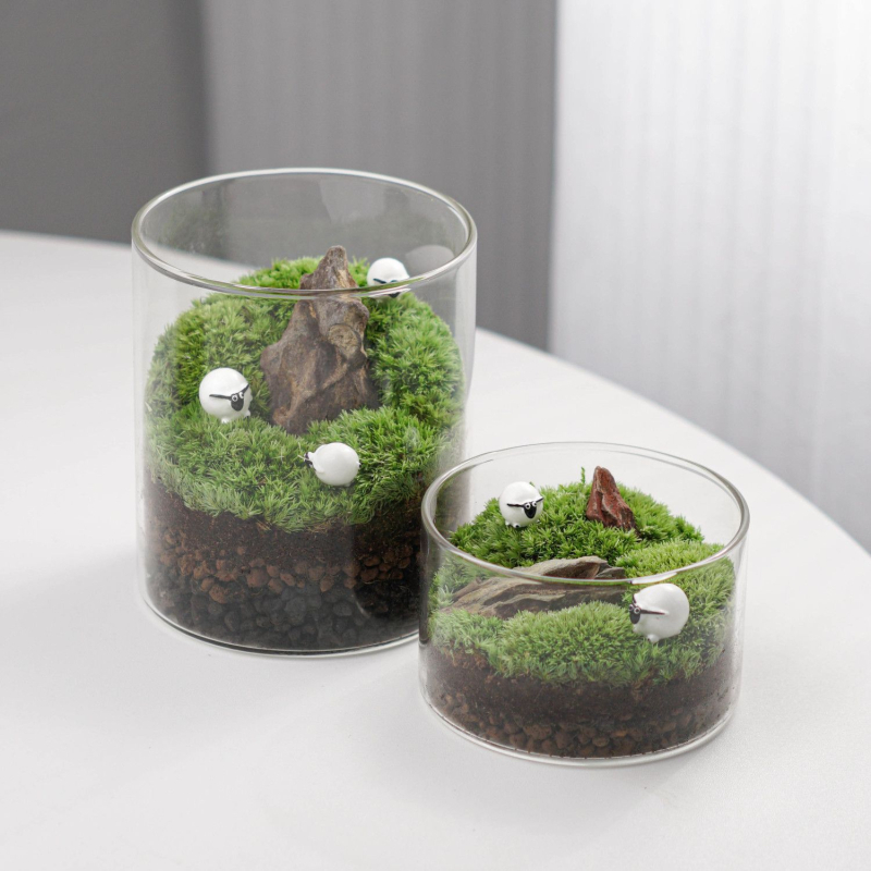 Sticlă terrariu cu mușchi - DIY mini decor pentru birou/acasă, sticlă borosilikat de înaltă calitate, model TB674839126224, cadou de afaceri