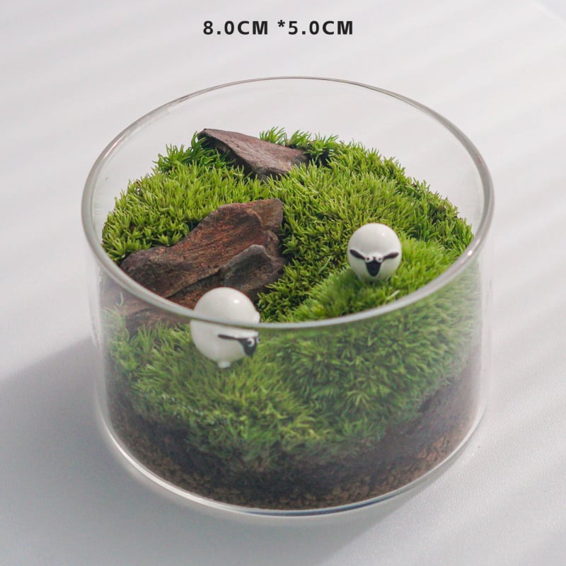 Sticlă terrariu cu mușchi - DIY mini decor pentru birou/acasă, sticlă borosilikat de înaltă calitate, model TB674839126224, cadou de afaceri
