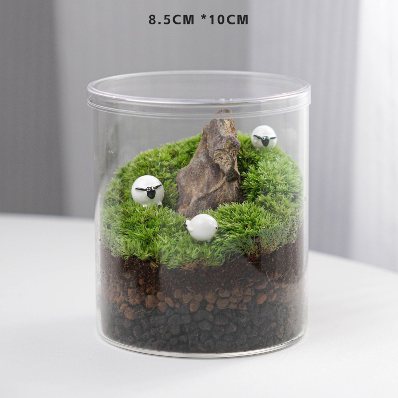 Slatka mahovina boca s DIY — mini terarij za ured i dnevni boravak