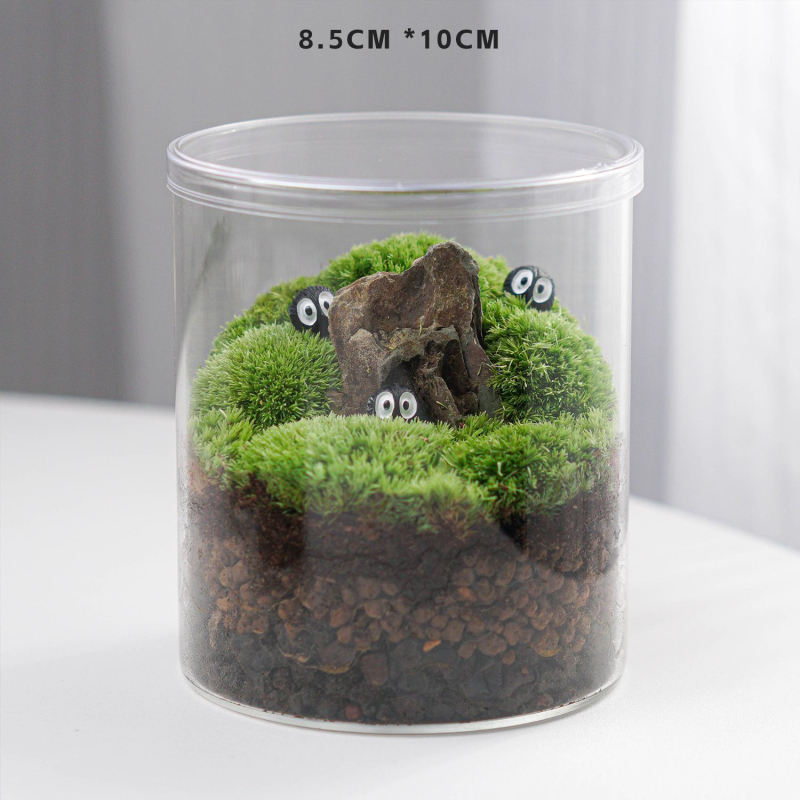 Slatka mahovina boca s DIY — mini terarij za ured i dnevni boravak