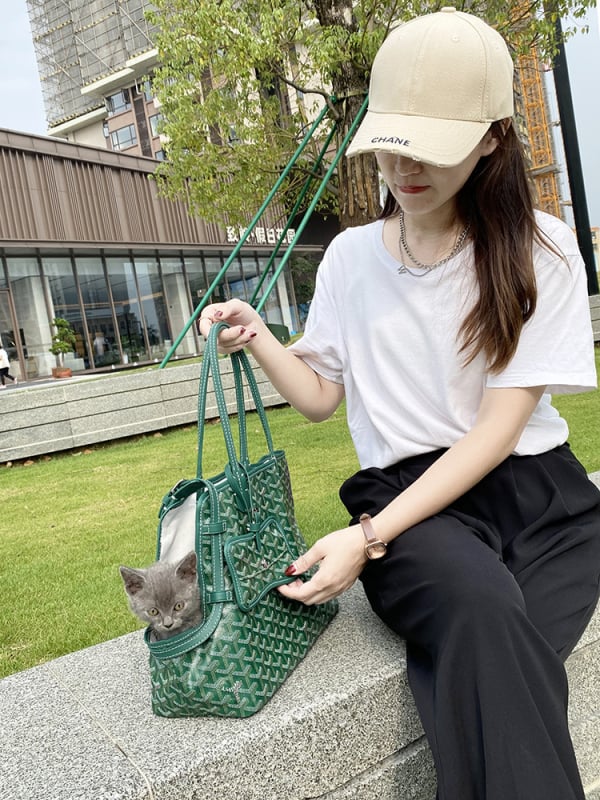 Τσάντα κατοικίδιων από καμβά - μαλακό φορείο με μοτίβο γραμμάτων, χωρητικότητα 3 kg