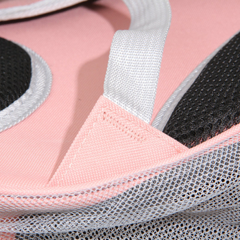 Sac pentru pisică pentru ieșiri — material PC+Oxford, carcasă rigidă, brand Ding pet paradise