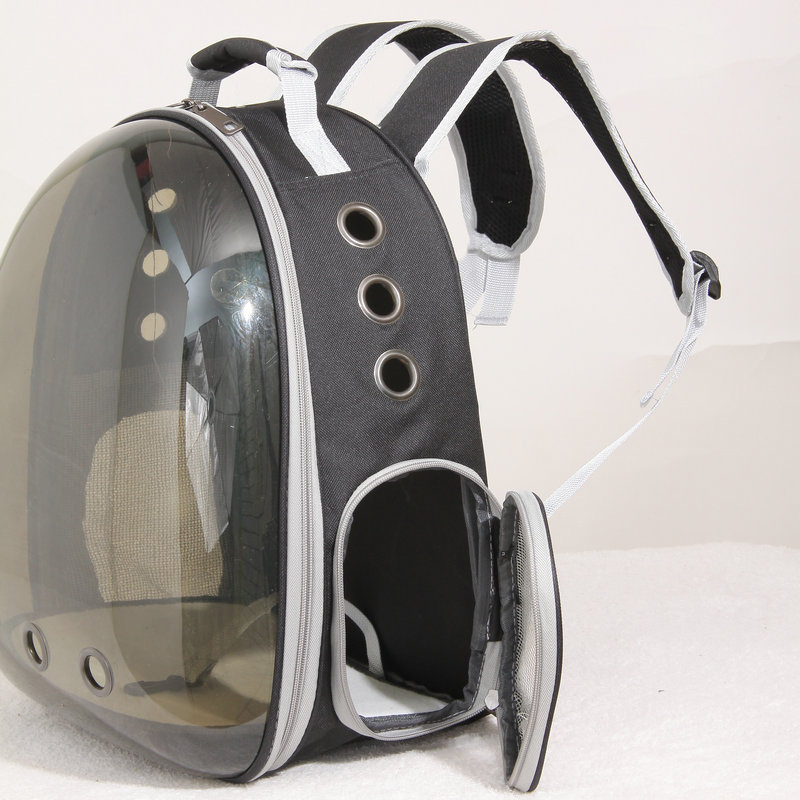 Sac pentru pisică pentru ieșiri — material PC+Oxford, carcasă rigidă, brand Ding pet paradise