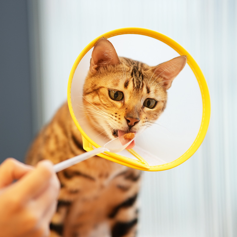 Bakerlele Mäkký obojok pre mačku — Proti škrabaniu a proti olizovaniu, Priehľadný, Priedušný, Mäkký okraj (Značka Bakerlele; Materiál Iné; Pre Mačky)