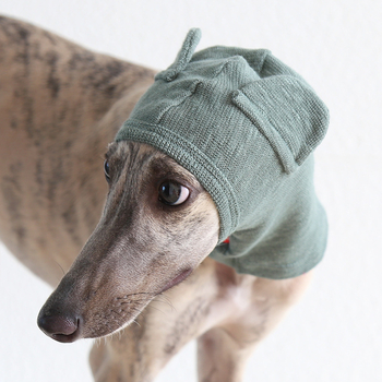 Petstyle Καπέλα για γάτες σε σχήμα αρκούδας, βαμβακερό, γενικής χρήσης, στυλ ανάπαυσης