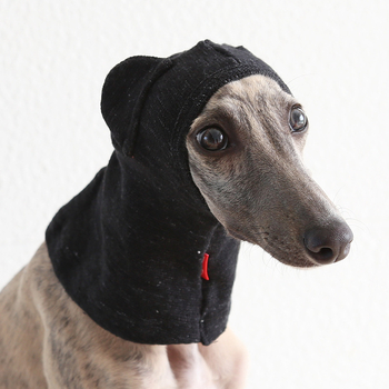 Petstyle Καπέλα για γάτες σε σχήμα αρκούδας, βαμβακερό, γενικής χρήσης, στυλ ανάπαυσης