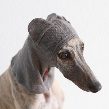 Petstyle Καπέλα για γάτες σε σχήμα αρκούδας, βαμβακερό, γενικής χρήσης, στυλ ανάπαυσης