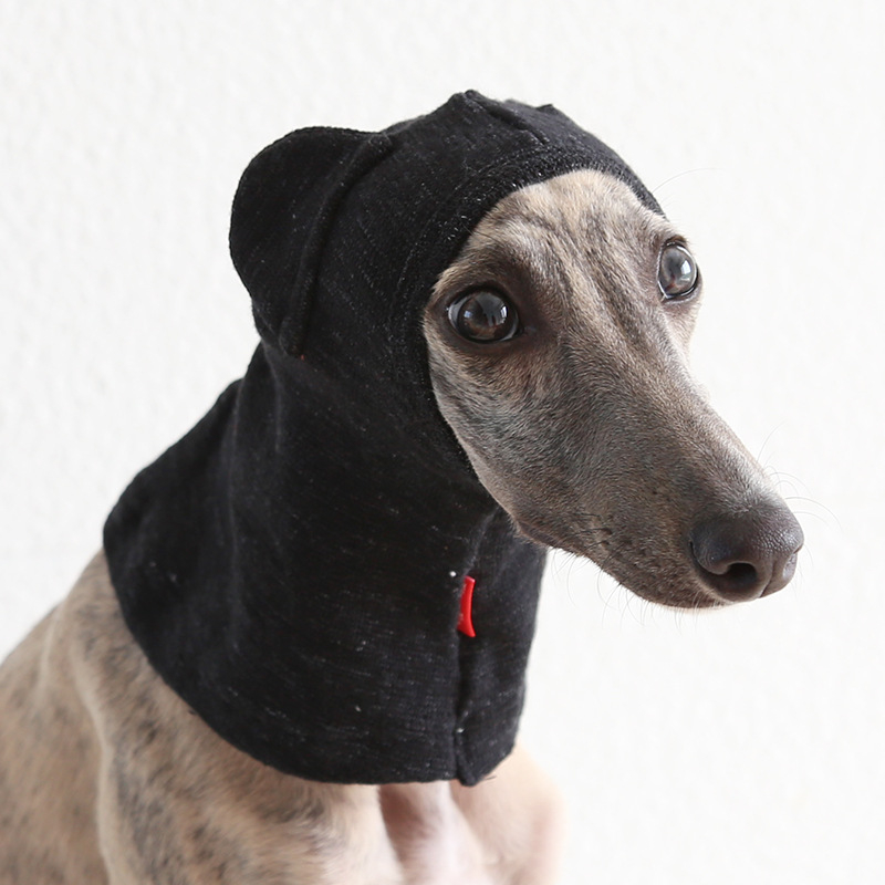 Petstyle Καπέλα για γάτες σε σχήμα αρκούδας, βαμβακερό, γενικής χρήσης, στυλ ανάπαυσης