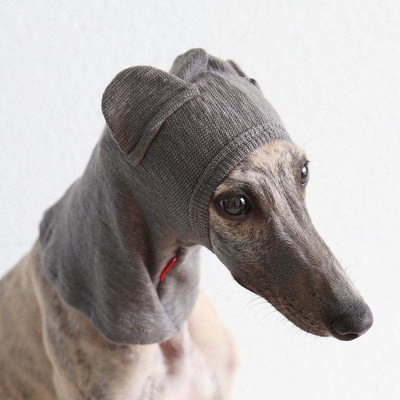 Petstyle Καπέλα για γάτες σε σχήμα αρκούδας, βαμβακερό, γενικής χρήσης, στυλ ανάπαυσης