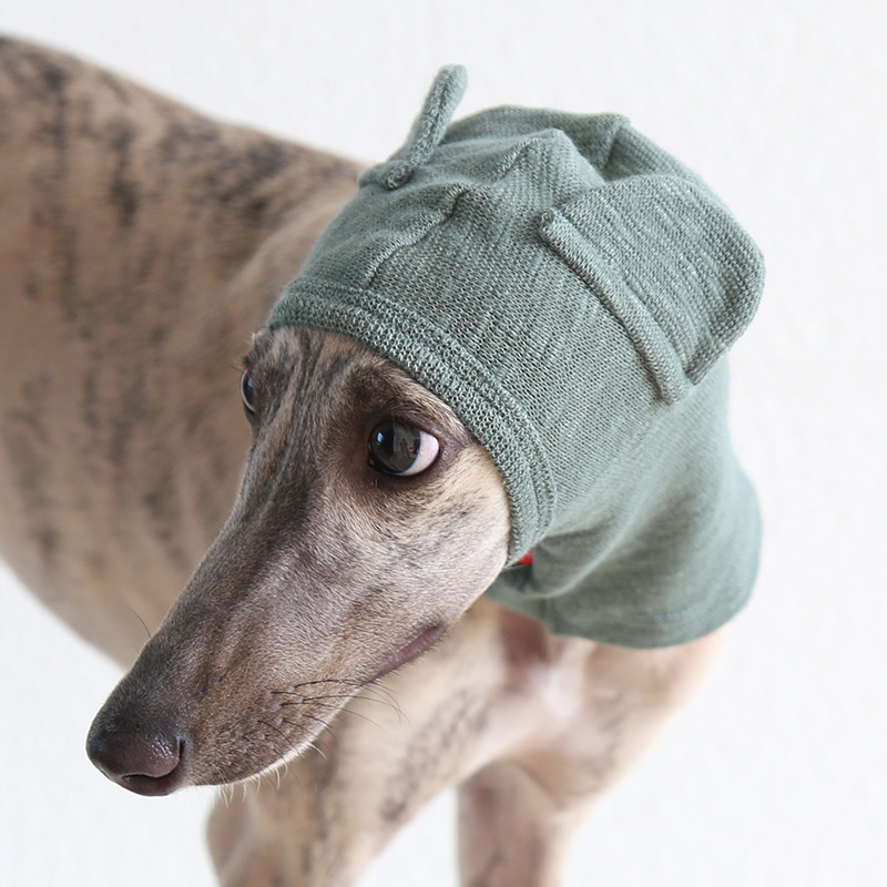 Petstyle Καπέλα για γάτες σε σχήμα αρκούδας, βαμβακερό, γενικής χρήσης, στυλ ανάπαυσης