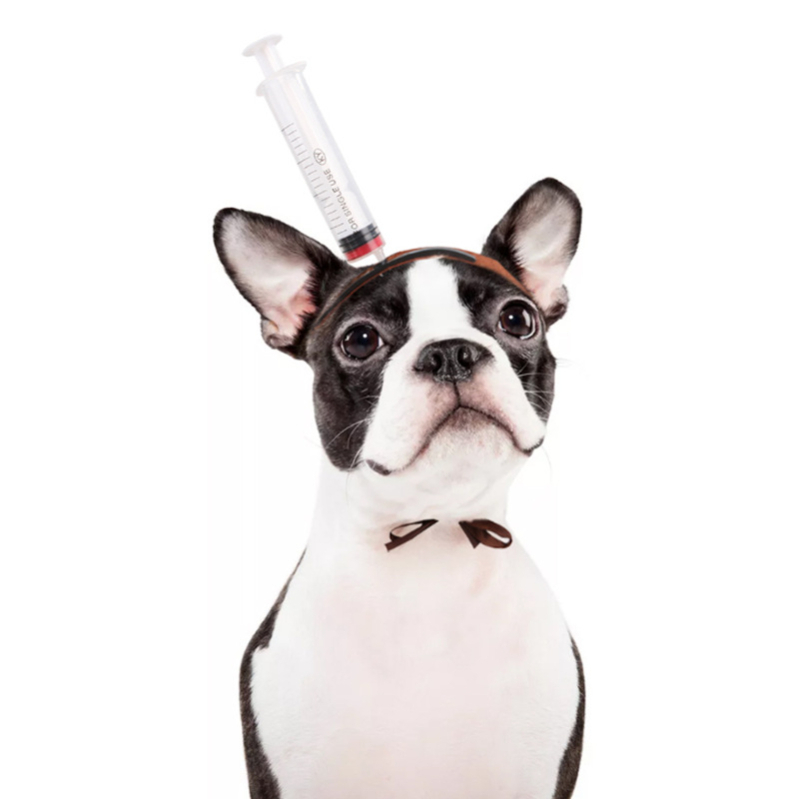 Хелоуин шапка за домашни любимци – забавен аксесоар за обличане на кучета и котки, лек стил, пакет от 200, Материал: Друг, За обща употреба