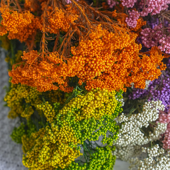 Запазени сушени цветя от просо – реквизит за фотосесия и DIY цветя; Материал: запазени цветя; Крафт: Други; Вид: 10291936; Внос: Не