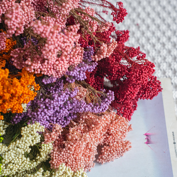 Запазени сушени цветя от просо – реквизит за фотосесия и DIY цветя; Материал: запазени цветя; Крафт: Други; Вид: 10291936; Внос: Не