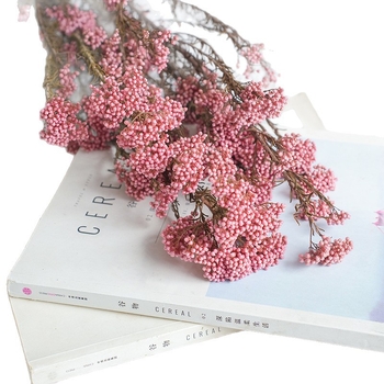 Запазени сушени цветя от просо – реквизит за фотосесия и DIY цветя; Материал: запазени цветя; Крафт: Други; Вид: 10291936; Внос: Не