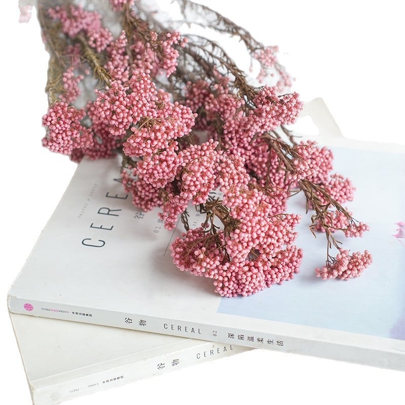 Запазени сушени цветя от просо – реквизит за фотосесия и DIY цветя; Материал: запазени цветя; Крафт: Други; Вид: 10291936; Внос: Не