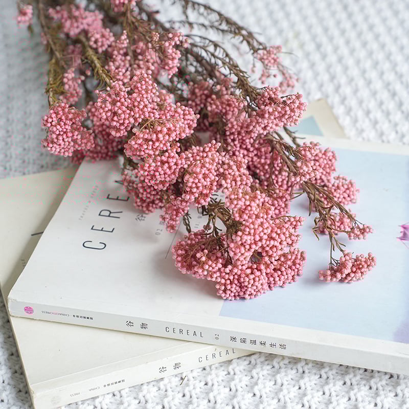 Запазени сушени цветя от просо – реквизит за фотосесия и DIY цветя; Материал: запазени цветя; Крафт: Други; Вид: 10291936; Внос: Не