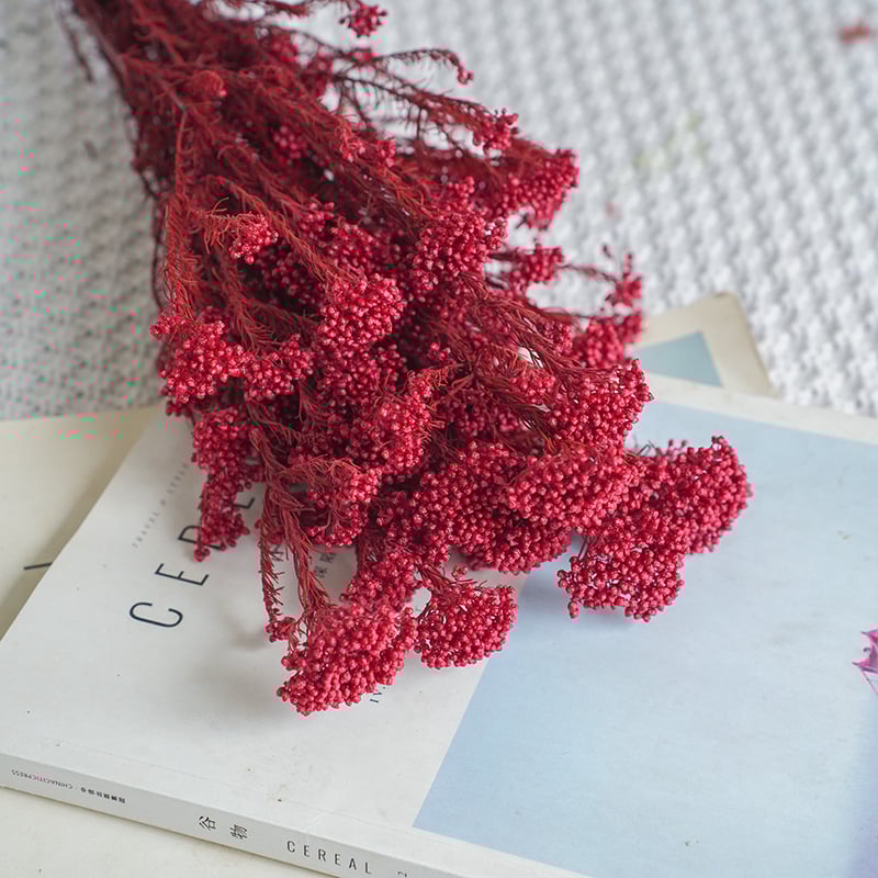 Запазени сушени цветя от просо – реквизит за фотосесия и DIY цветя; Материал: запазени цветя; Крафт: Други; Вид: 10291936; Внос: Не