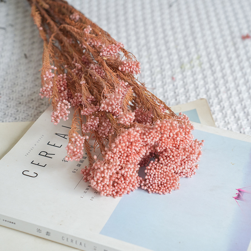 Запазени сушени цветя от просо – реквизит за фотосесия и DIY цветя; Материал: запазени цветя; Крафт: Други; Вид: 10291936; Внос: Не