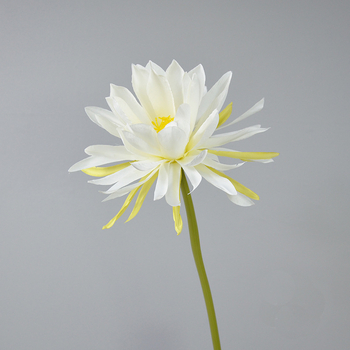 Umjetni Epiphyllum cvijet, s jednom granom, rekviziti za fotografiju, vjenčanje i kućnu dekoraciju; Materijal: svila; Obrada: stiliziranje, reljef; Model: 18904525367