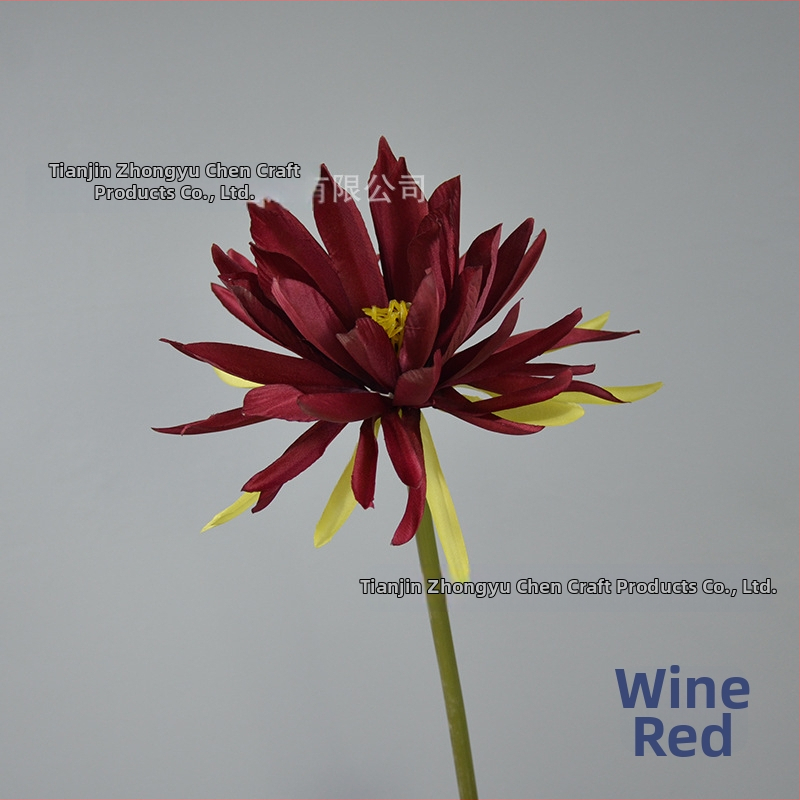 Umelý Epiphyllum kvet s jednou vetvou, rekvizita na fotografovanie, svadbu a domovú výzdobu; Materiál: hodvábne kvety; Spracovanie: styling, reliéf; Model 18904525367