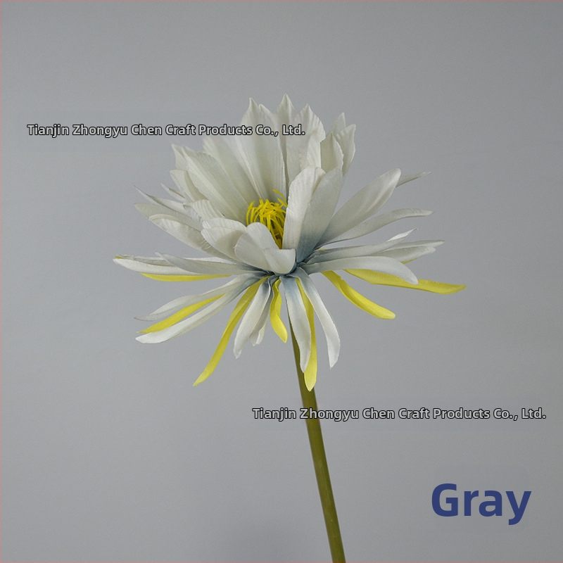 Umelý Epiphyllum kvet s jednou vetvou, rekvizita na fotografovanie, svadbu a domovú výzdobu; Materiál: hodvábne kvety; Spracovanie: styling, reliéf; Model 18904525367
