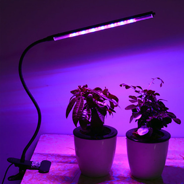 USB časované LED svetlo s plným spektrom pre rast sukulentov a vnútorných kvetov — tri teploty farieb, nízky výkon (≤5W), napätie ≤36V