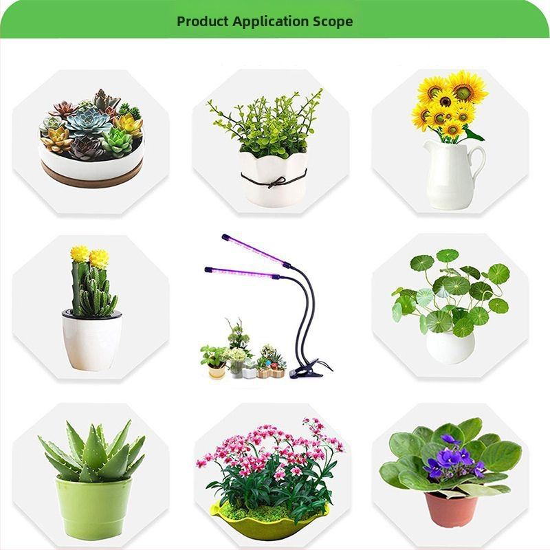 USB časované LED svetlo s plným spektrom pre rast sukulentov a vnútorných kvetov — tri teploty farieb, nízky výkon (≤5W), napätie ≤36V