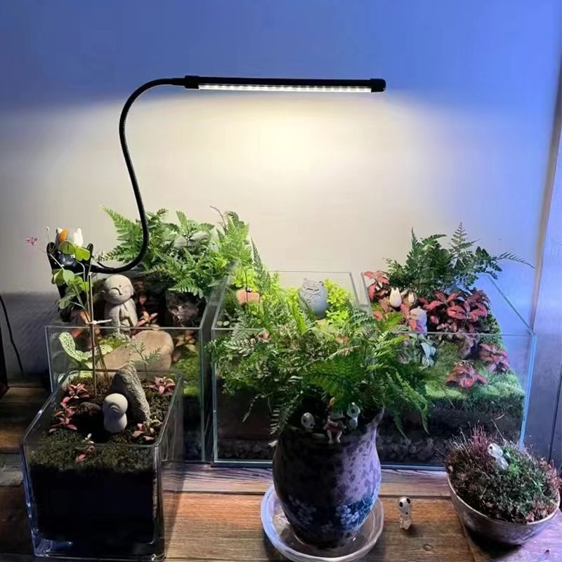 USB časované LED svetlo s plným spektrom pre rast sukulentov a vnútorných kvetov — tri teploty farieb, nízky výkon (≤5W), napätie ≤36V