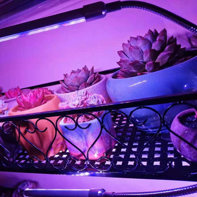 USB časované LED svetlo s plným spektrom pre rast sukulentov a vnútorných kvetov — tri teploty farieb, nízky výkon (≤5W), napätie ≤36V