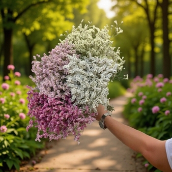 Изсъхнал клонков букет Crystal Grass, SJC-13, OPP опаковка