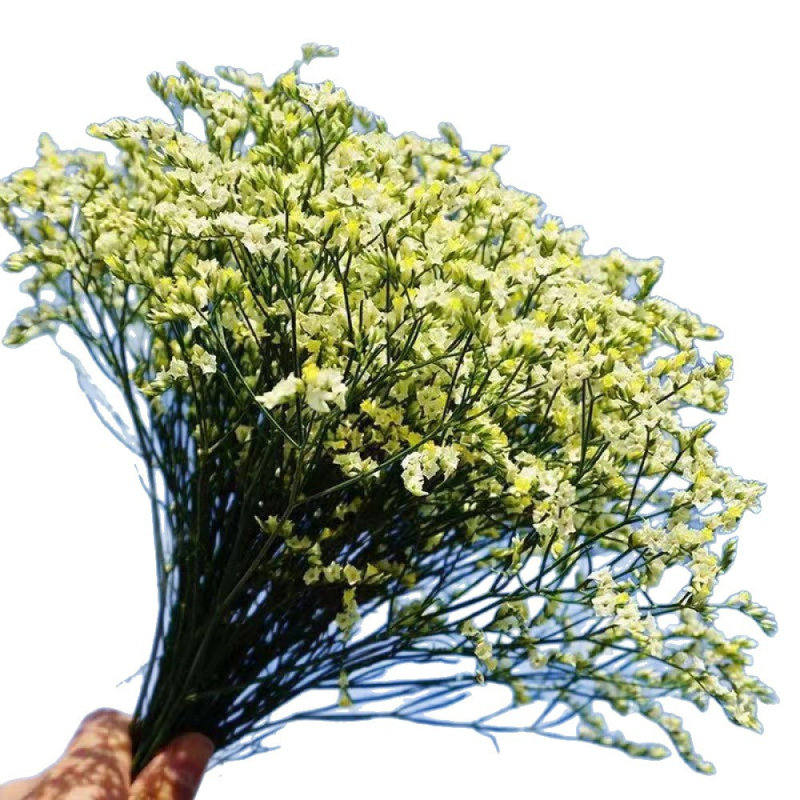 Изсъхнал клонков букет Crystal Grass, SJC-13, OPP опаковка