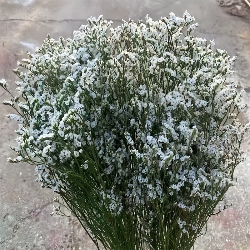 Изсъхнал клонков букет Crystal Grass, SJC-13, OPP опаковка