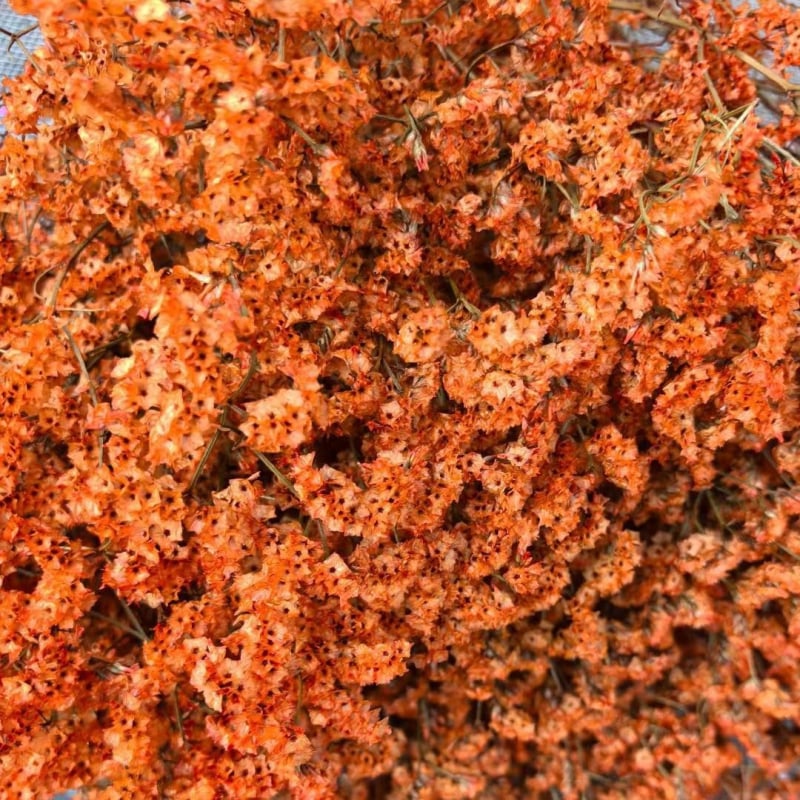 Изсъхнал клонков букет Crystal Grass, SJC-13, OPP опаковка