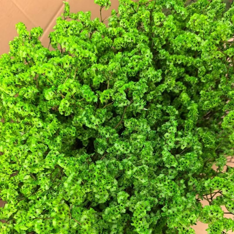 Изсъхнал клонков букет Crystal Grass, SJC-13, OPP опаковка