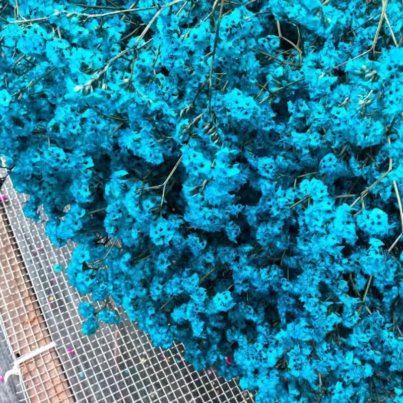 Изсъхнал клонков букет Crystal Grass, SJC-13, OPP опаковка