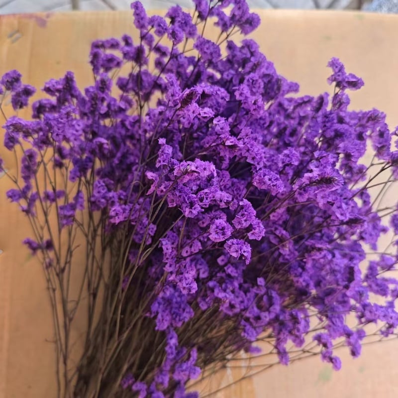 Изсъхнал клонков букет Crystal Grass, SJC-13, OPP опаковка