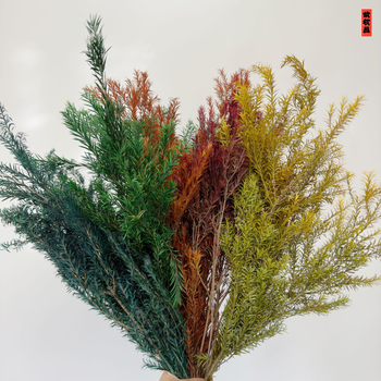 Букет от изсушени цветя, разновидност 22586134048, OPP опаковка, подходящ за подарък