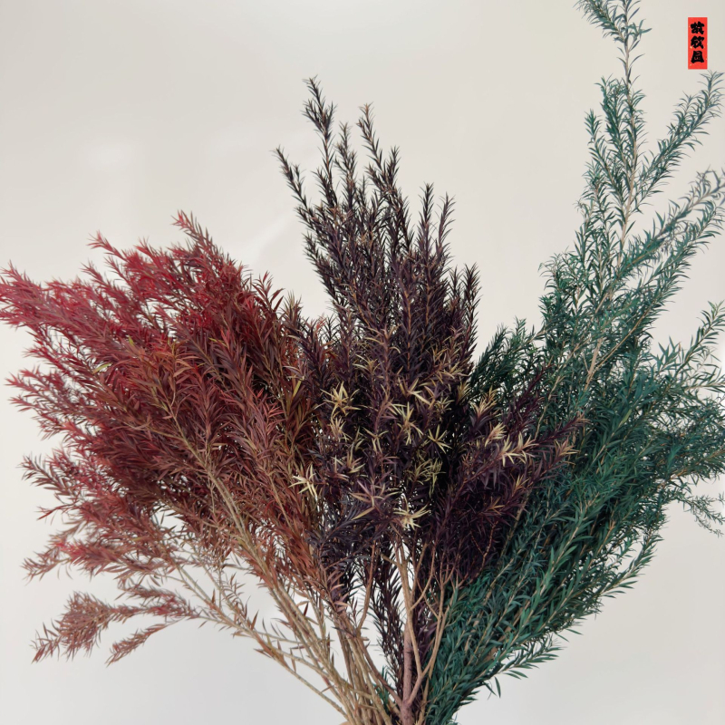 Букет от изсушени цветя, разновидност 22586134048, OPP опаковка, подходящ за подарък