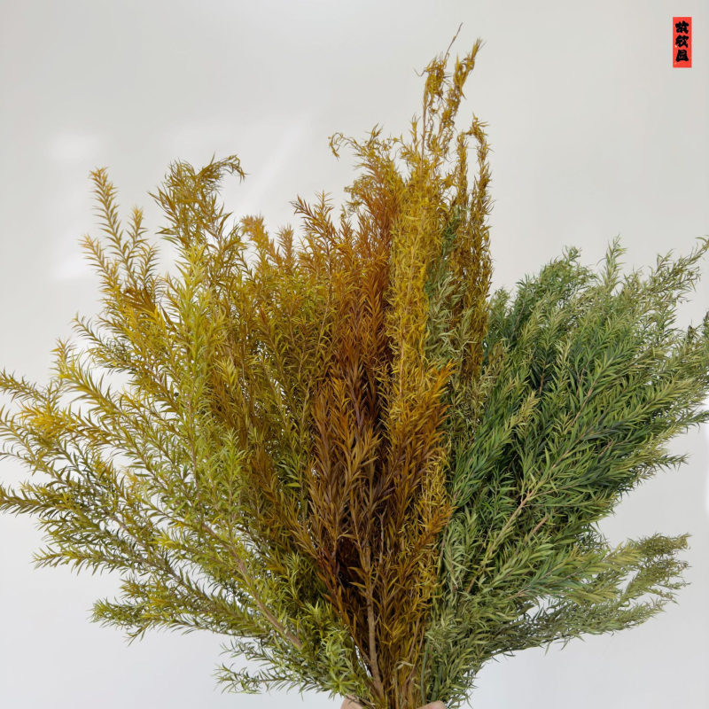 Букет от изсушени цветя, разновидност 22586134048, OPP опаковка, подходящ за подарък