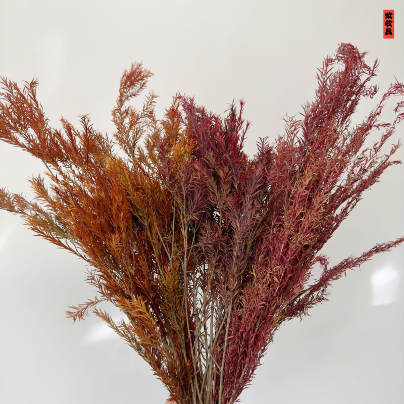 Букет от изсушени цветя, разновидност 22586134048, OPP опаковка, подходящ за подарък