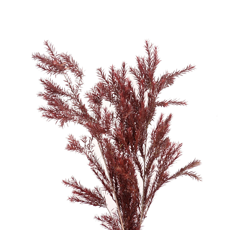 Букет от изсушени цветя, разновидност 22586134048, OPP опаковка, подходящ за подарък