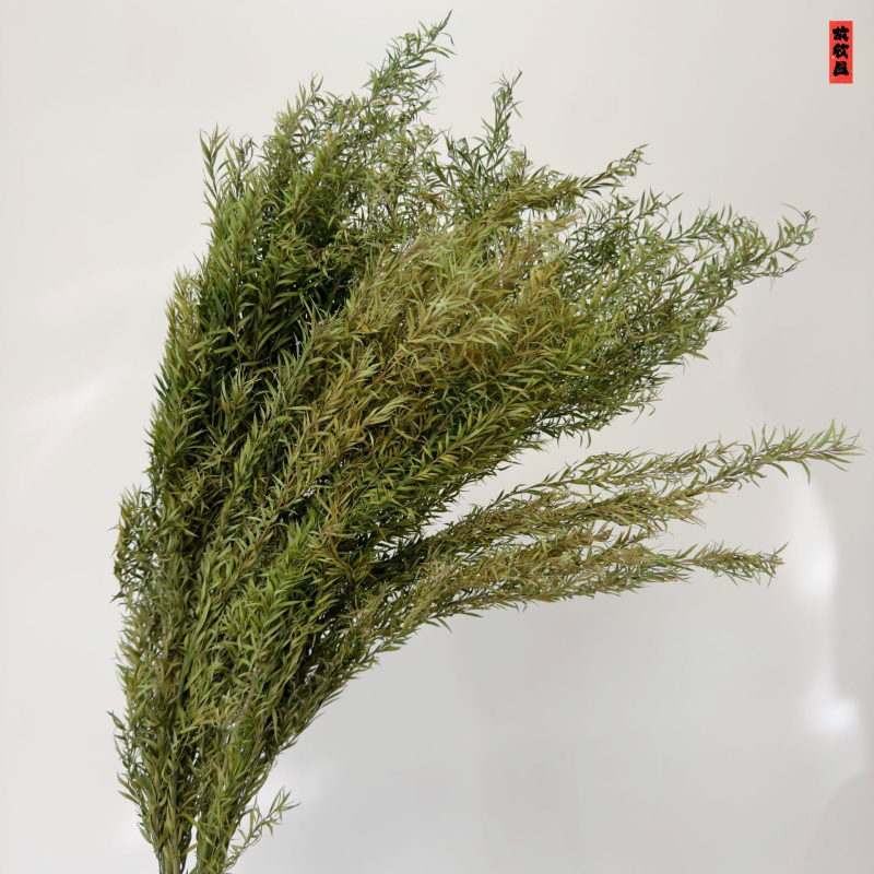 Букет от изсушени цветя, разновидност 22586134048, OPP опаковка, подходящ за подарък