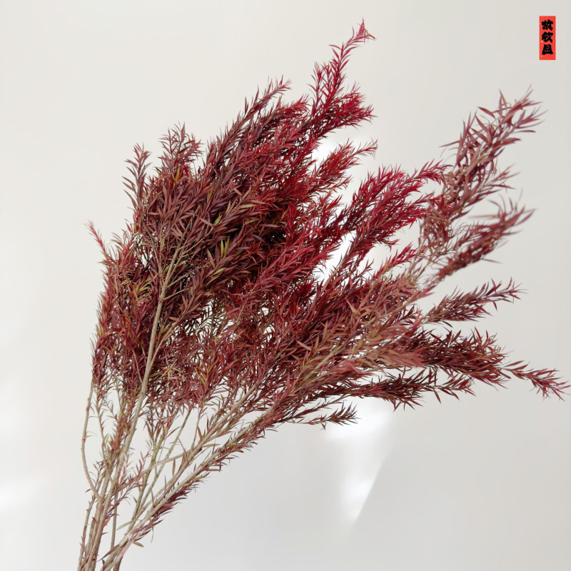 Букет от изсушени цветя, разновидност 22586134048, OPP опаковка, подходящ за подарък