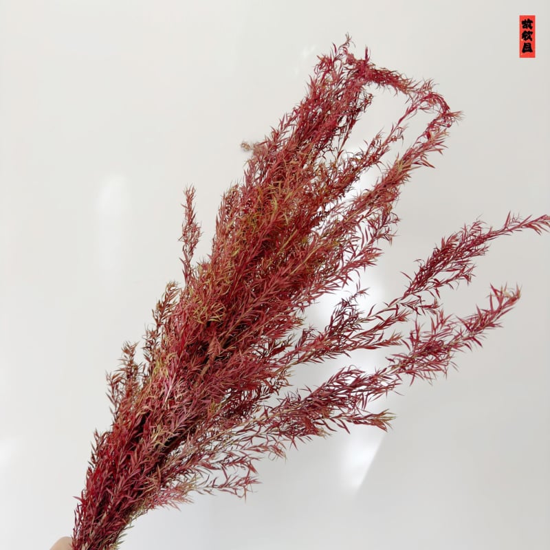 Букет от изсушени цветя, разновидност 22586134048, OPP опаковка, подходящ за подарък